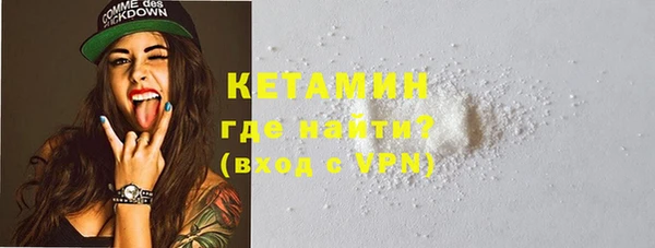дживик Няндома