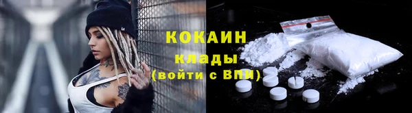 ешки Новозыбков