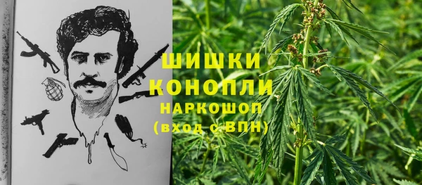 ешки Новозыбков