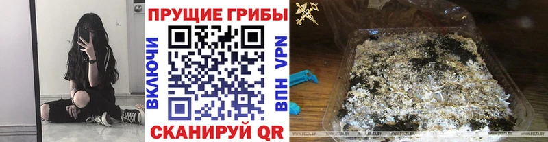 Псилоцибиновые грибы прущие грибы Малая Вишера