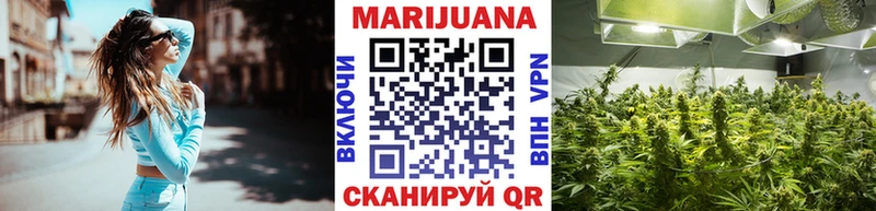 закладка  Малая Вишера  Бошки марихуана OG Kush 